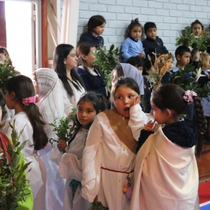 Celebración de Ramos